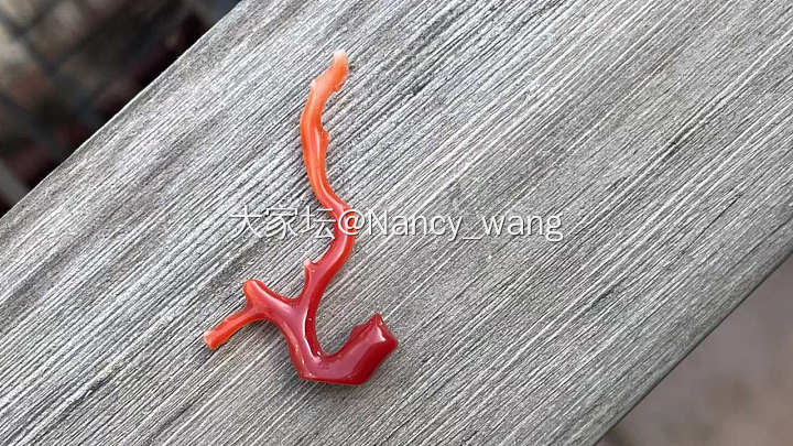新入，大家点评一下_珊瑚