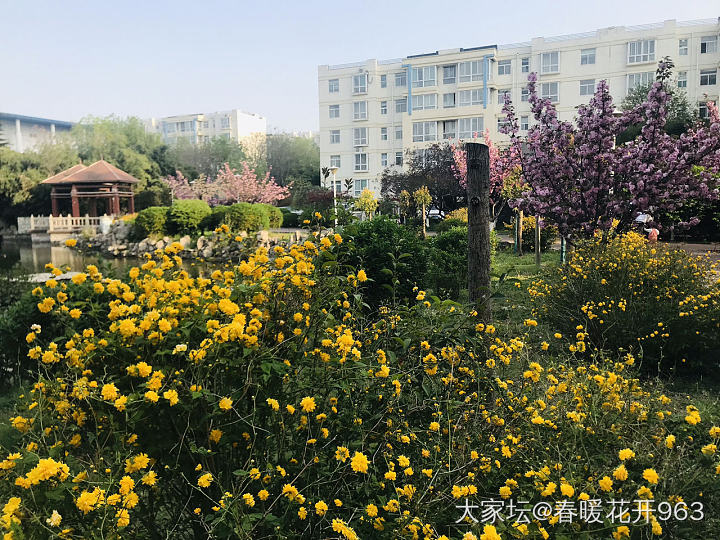 千寻佳艺家的工怎么样呀_购银闲聊匠人银