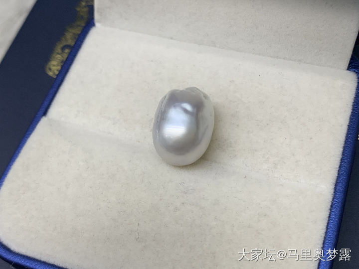 再买我是狗_珍珠