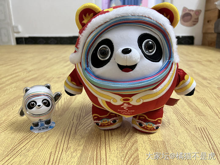 才买回来的敦敦又被儿子要走了_收藏