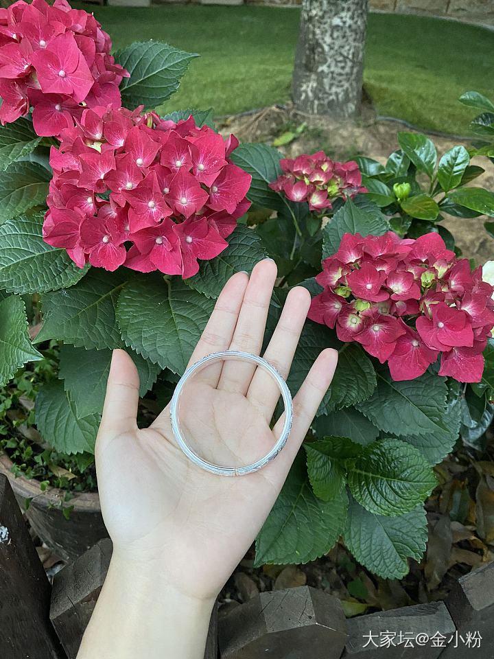 建工-繁花似锦❤️内刻鱼莲➕蝶恋花_匠人银