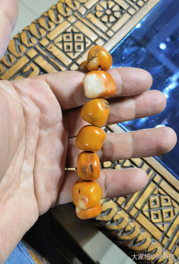 珊瑚_珊瑚
