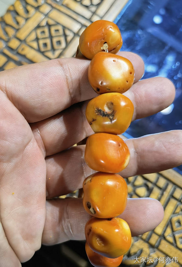 珊瑚_珊瑚