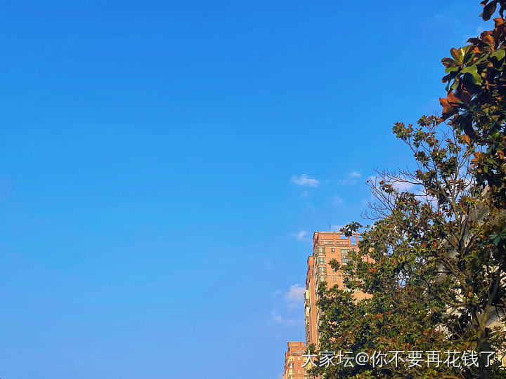 祝大家端午安康，平平安安_节日