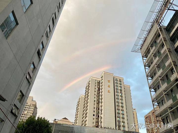 傍晚出现双彩虹🌈_景色