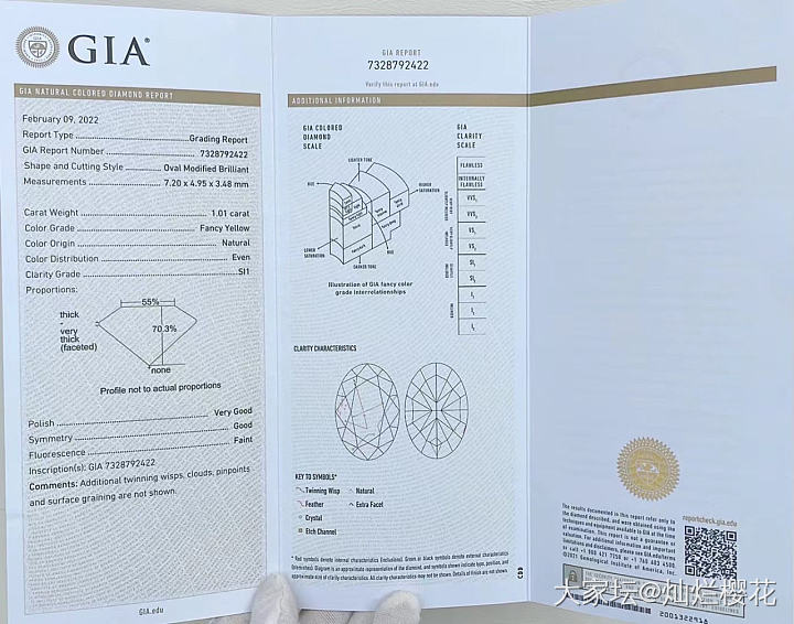 超显肤白的围镶款椭圆形黄钻戒指。配钻1.203ct，主石GIA1.01克拉中彩黄..._戒指彩钻