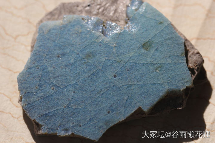 也晒晒小瓷片们吧_陶瓷