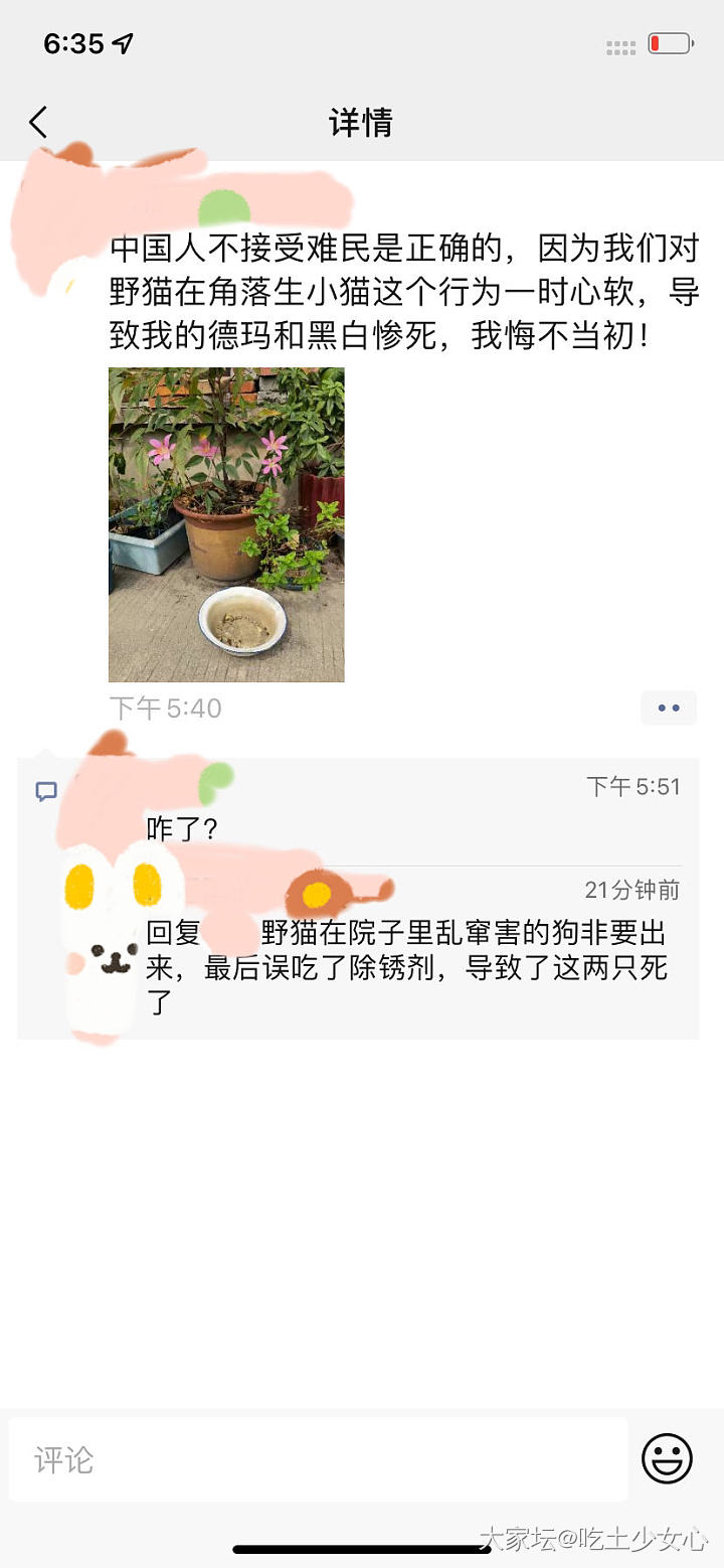 是我理解有问题？_宠物