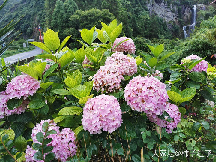 大山深处的风景_景色