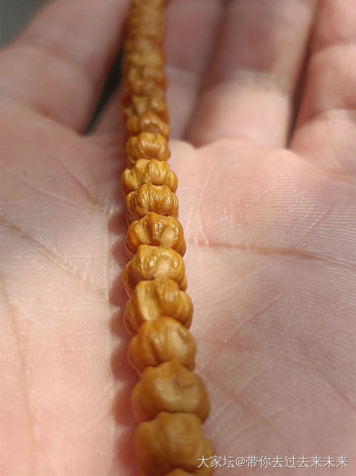 文玩有毒，停不下来！_菩提子核桃