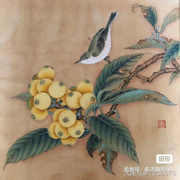 自己画一幅故宫博物院馆藏品《枇杷山鸟图》，附创作过程。_书画