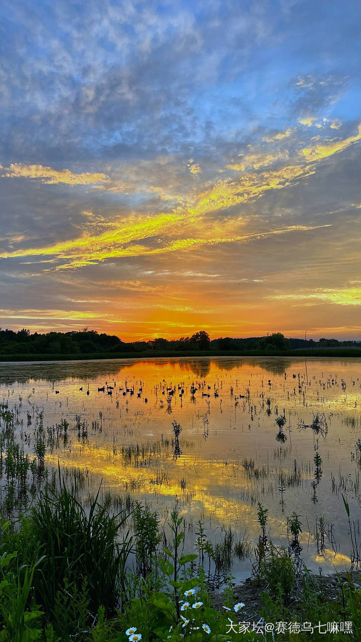 夕阳醉了，我也醉了_景色