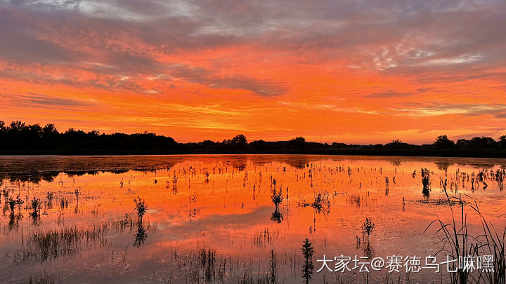 夕阳醉了，我也醉了_景色