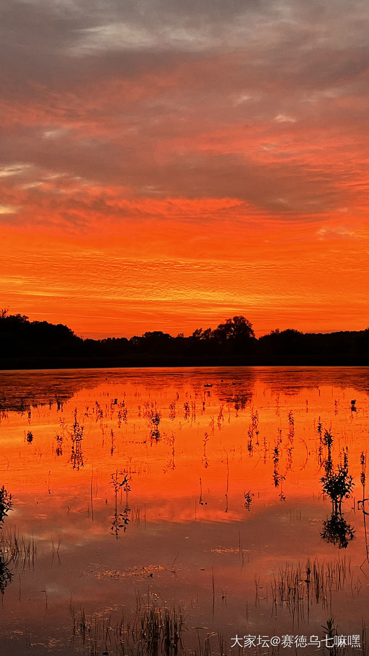 夕阳醉了，我也醉了_景色