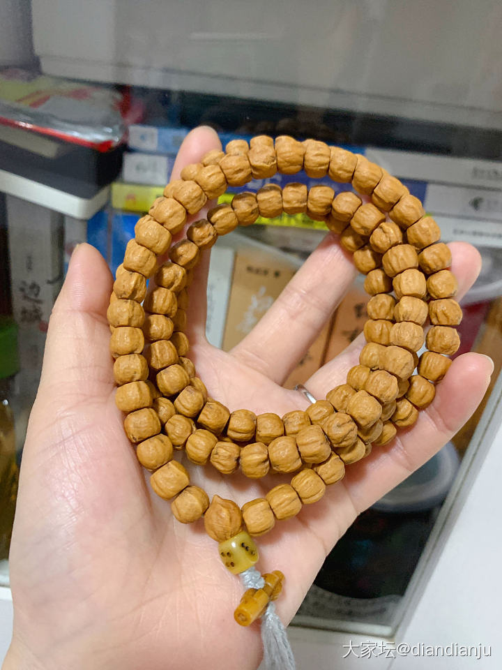 我也想盘串儿_菩提子