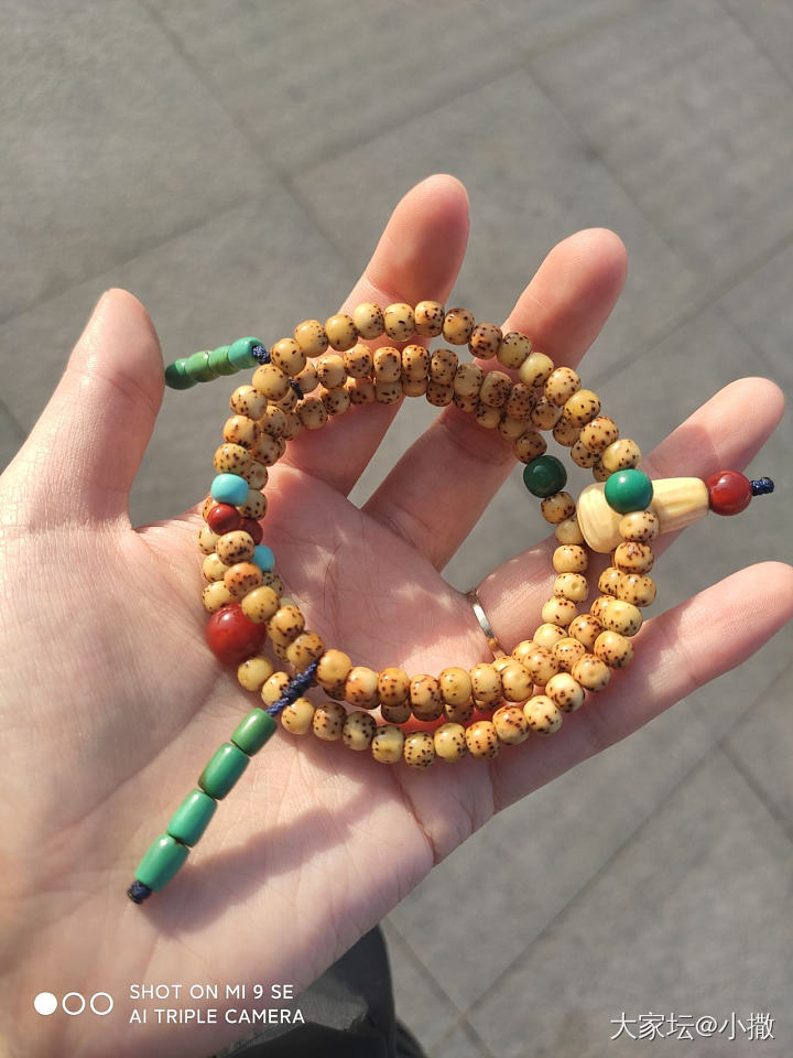 星月配串_菩提子