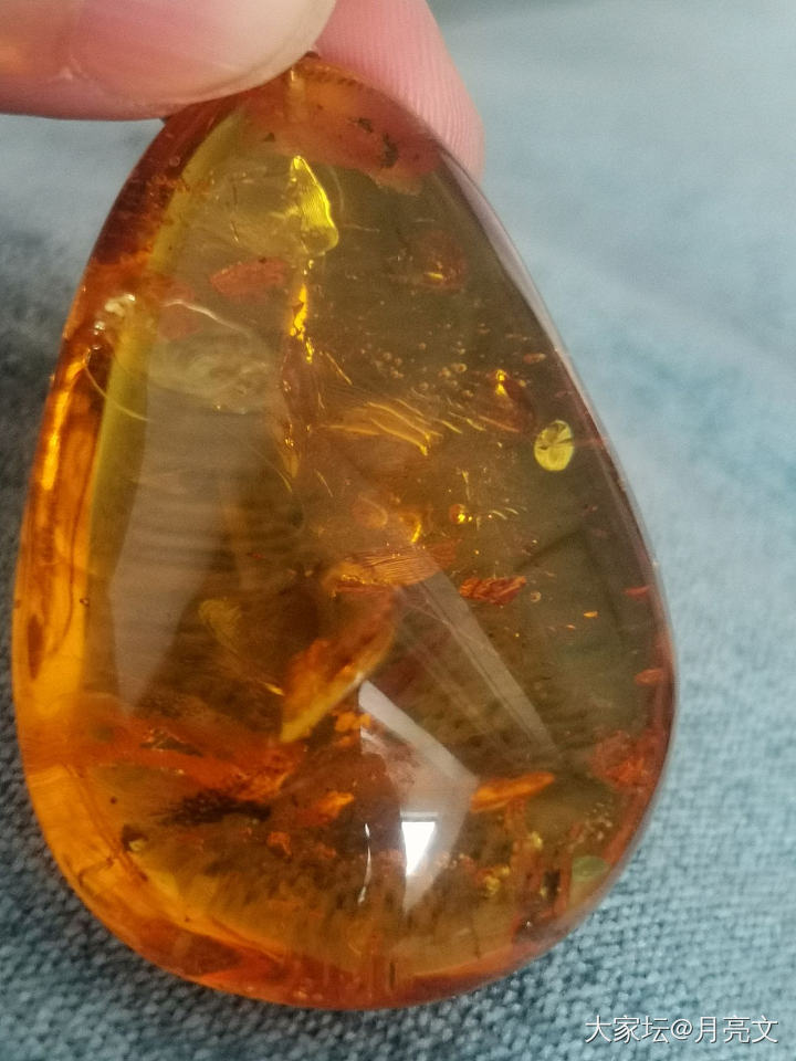 闪闪亮的琥珀_琥珀