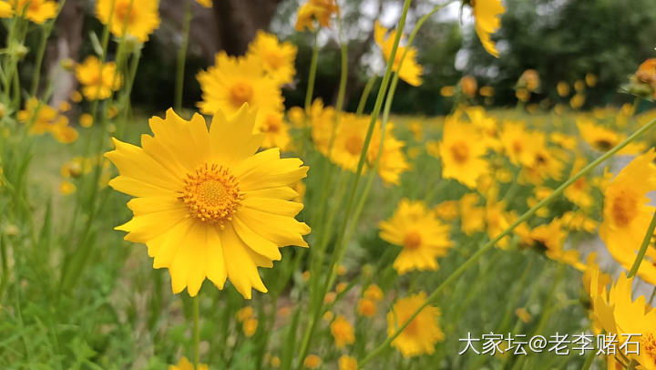 可以出门就去买彩票2_闲聊