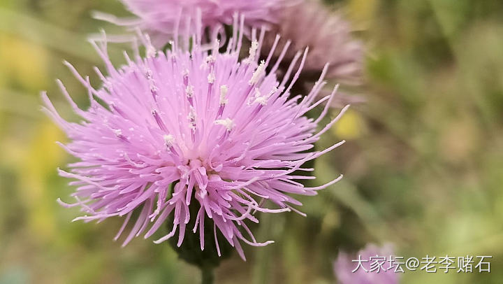 可以出门就去买彩票2_闲聊