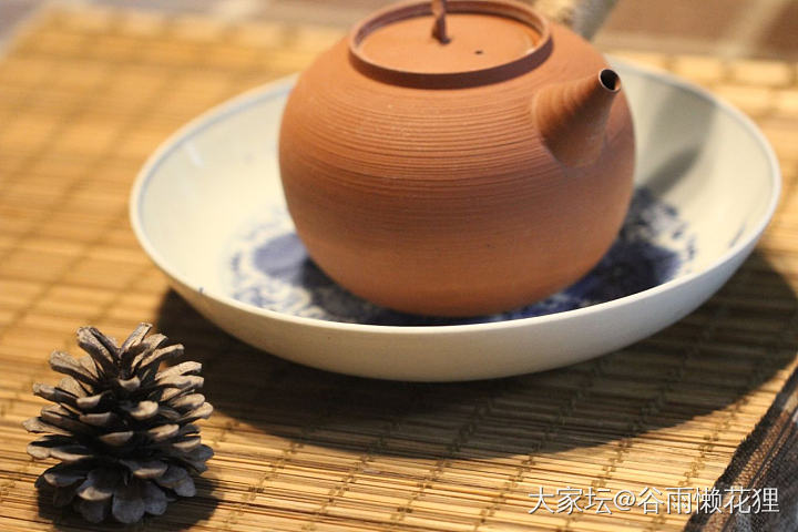 好多好多菊_陶瓷