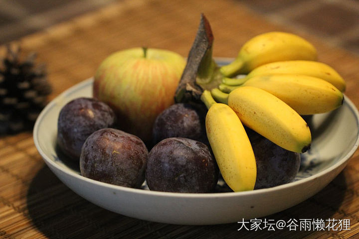 好多好多菊_陶瓷
