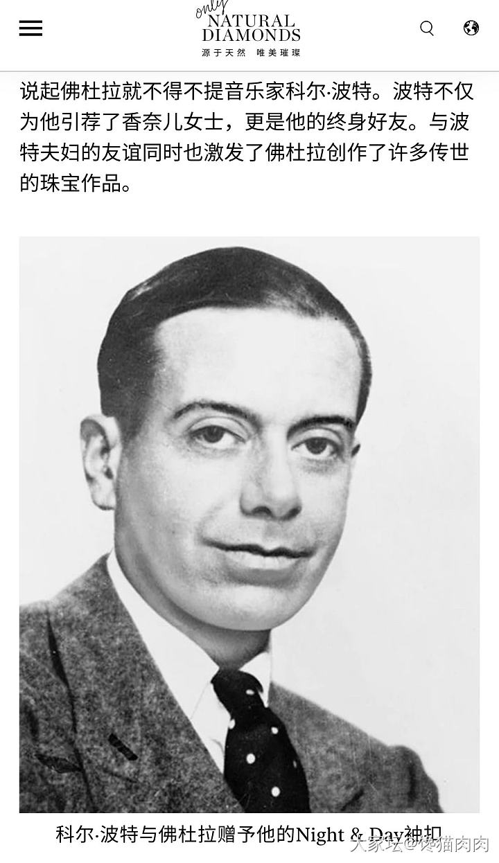雅俗共赏_设计名贵宝石