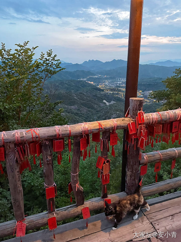 发点最近拍的，觉得还可以拉出来秀秀的图。_旅游