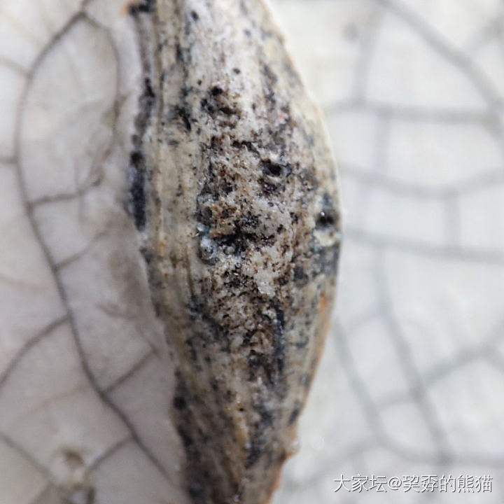 清晚期漳州窑竹节旋纹三足哥釉小香炉_陶瓷