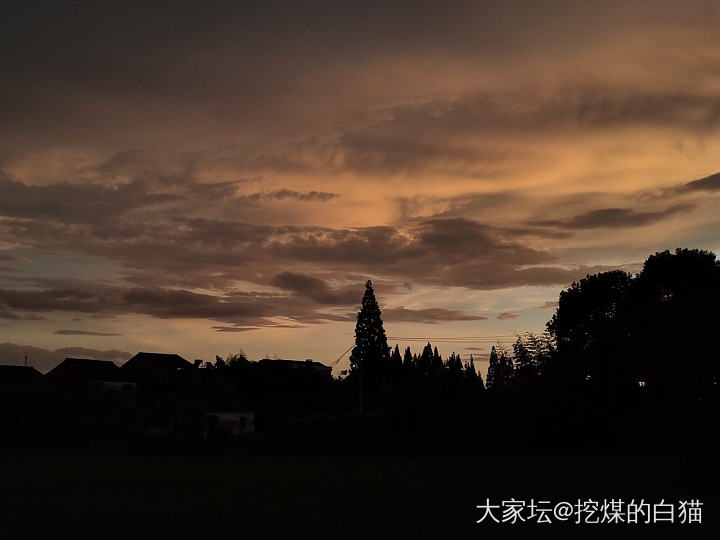 夏天的☁️真是好看_景色