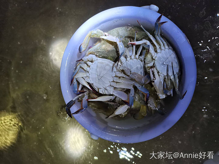 我是赶海狂魔_食材