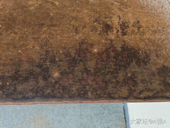 一块老木头_木