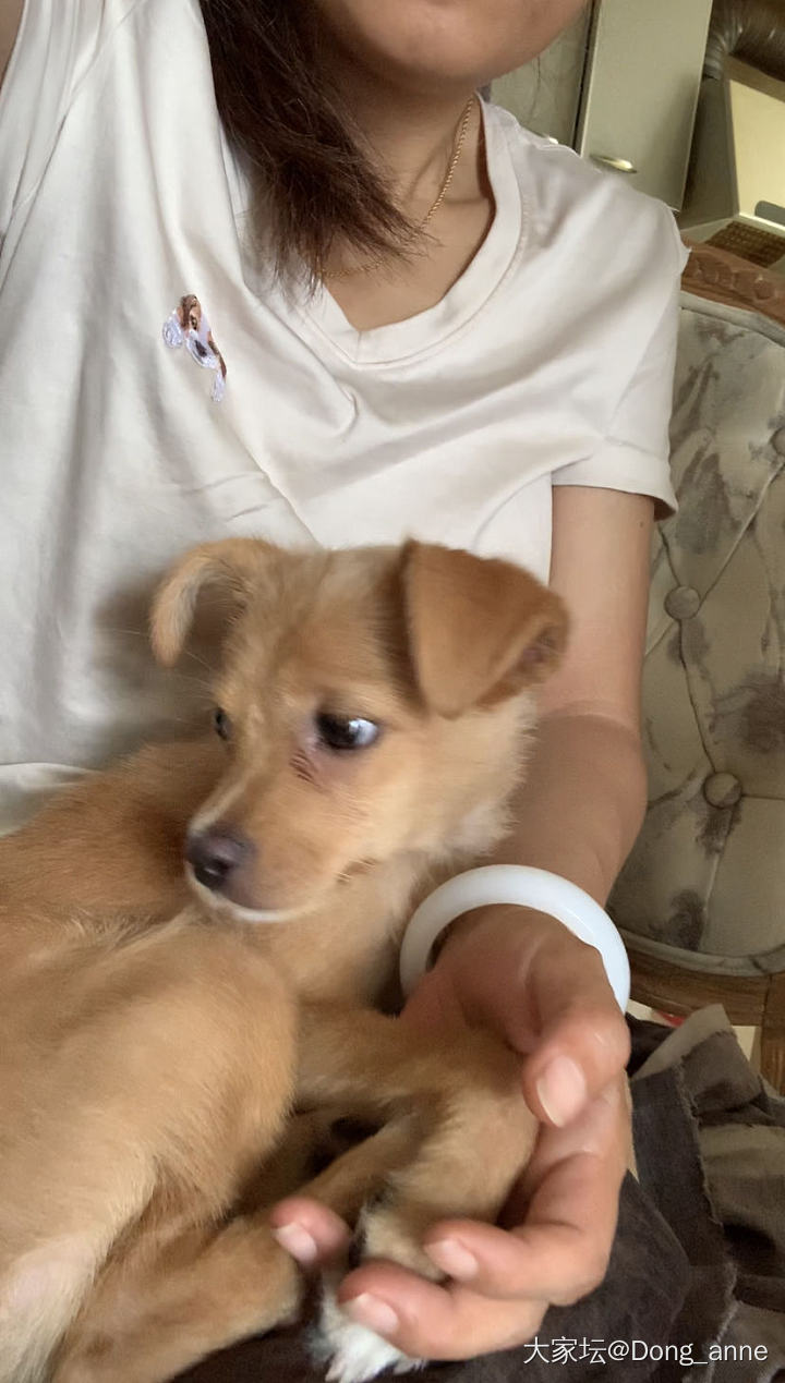 让我看看你们今天戴了啥_手镯银