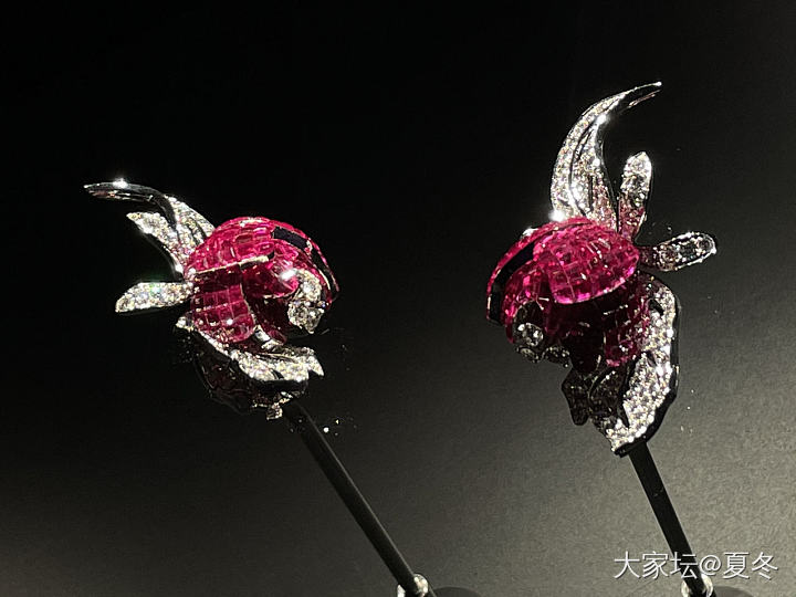 梵克雅宝看展_展会名贵宝石