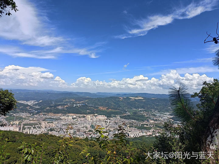 扑鼻而来的松香味道儿_旅游