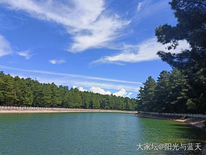 扑鼻而来的松香味道儿_旅游