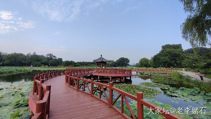 圆明园荷花节（三）_旅游