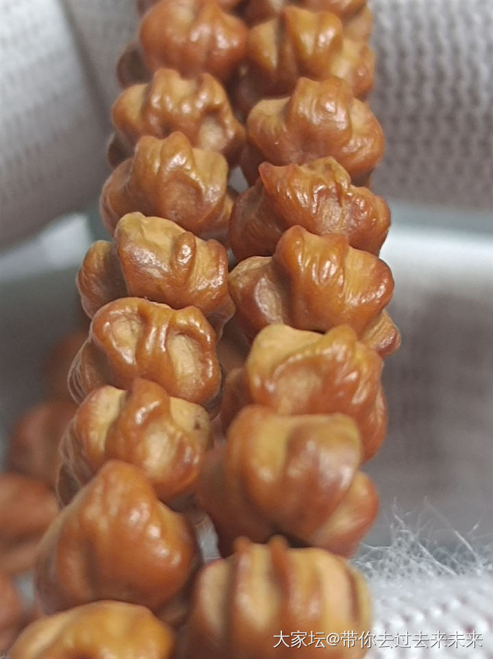 百香挺好玩_菩提子