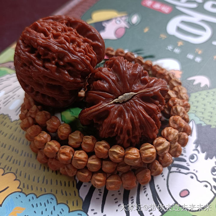 百香挺好玩_菩提子