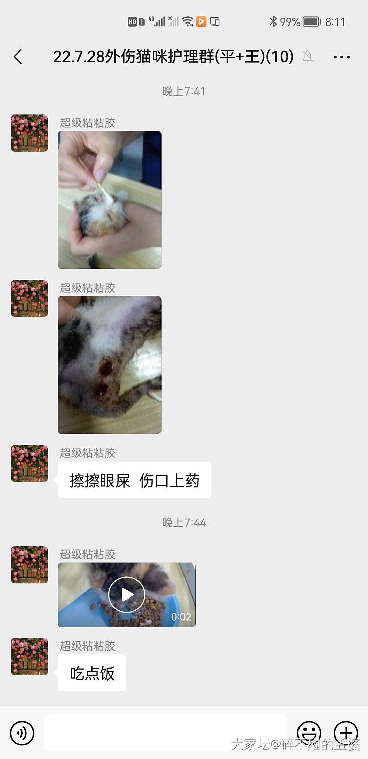 今天救助了一只小猫（慎入）_贴图猫