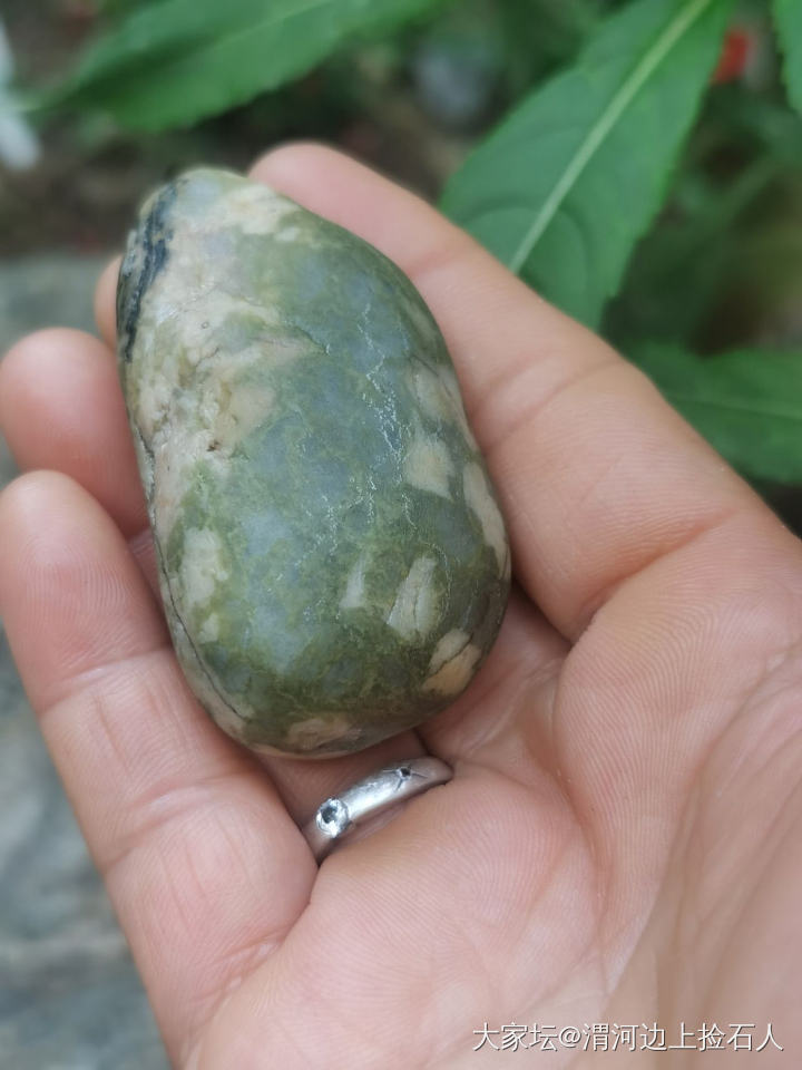 整理些渭河石给大家看看