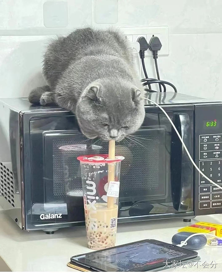 我要是拿回我的奶茶和我的iPad会发生什么？_猫