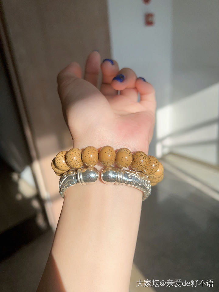 大胖鱼～_手镯银