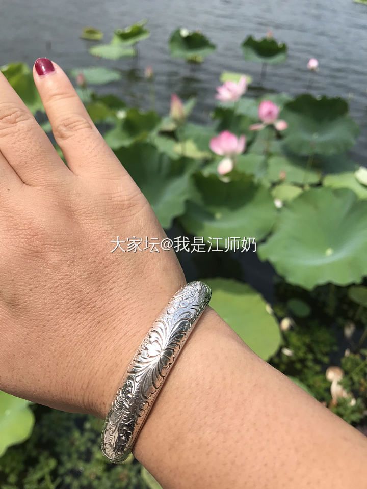 此去经年：耄耋富贵，花蝶共舞_手镯银