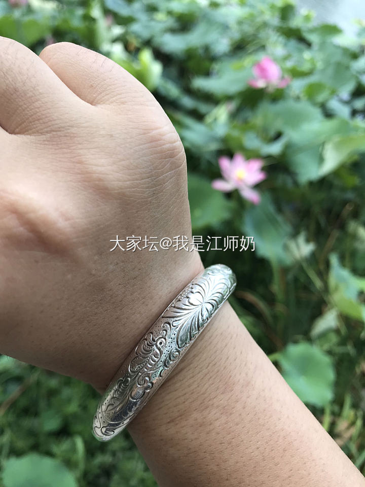 此去经年：耄耋富贵，花蝶共舞_手镯银