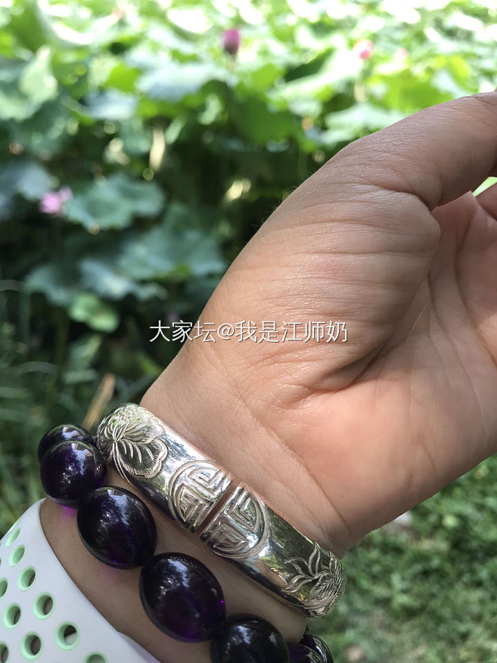 此去经年：耄耋富贵，花蝶共舞_手镯银