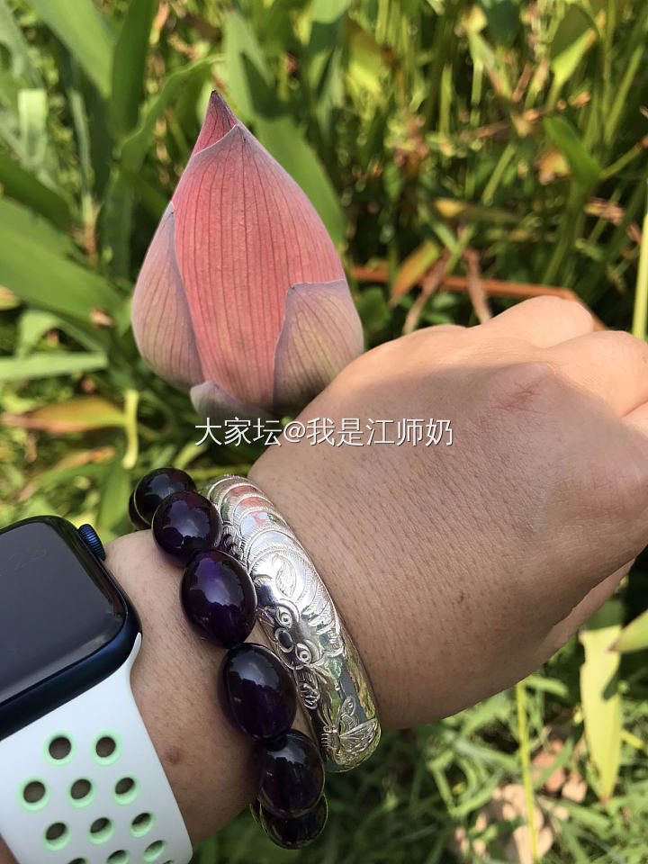 此去经年：耄耋富贵，花蝶共舞_手镯银