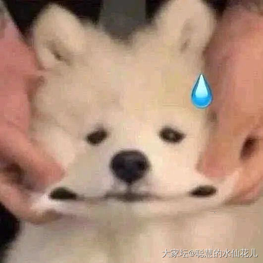 我真的栓Q_匠人
