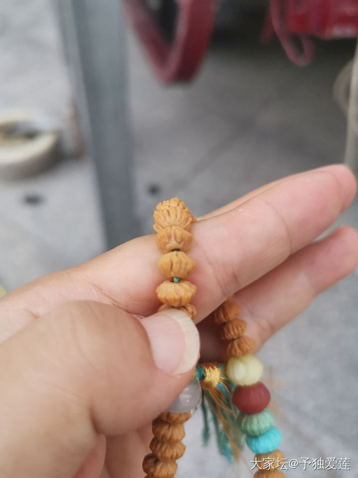 请教坛子里前辈金叶是脏了吗？_菩提子