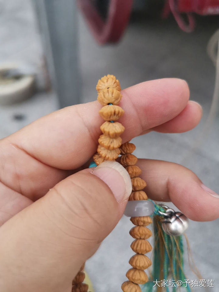 请教坛子里前辈金叶是脏了吗？_菩提子