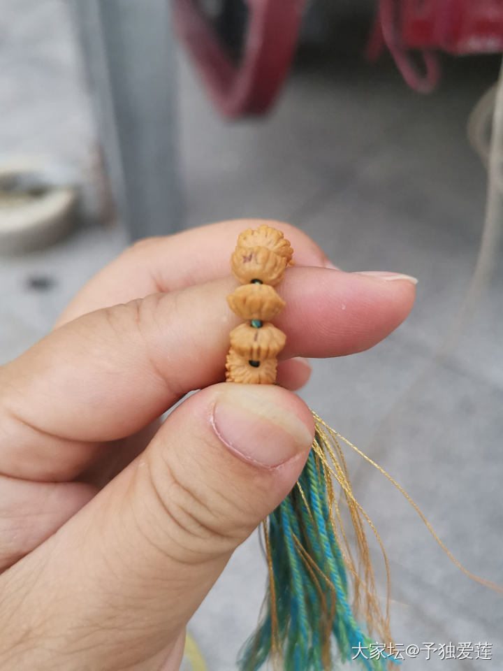 请教坛子里前辈金叶是脏了吗？_菩提子